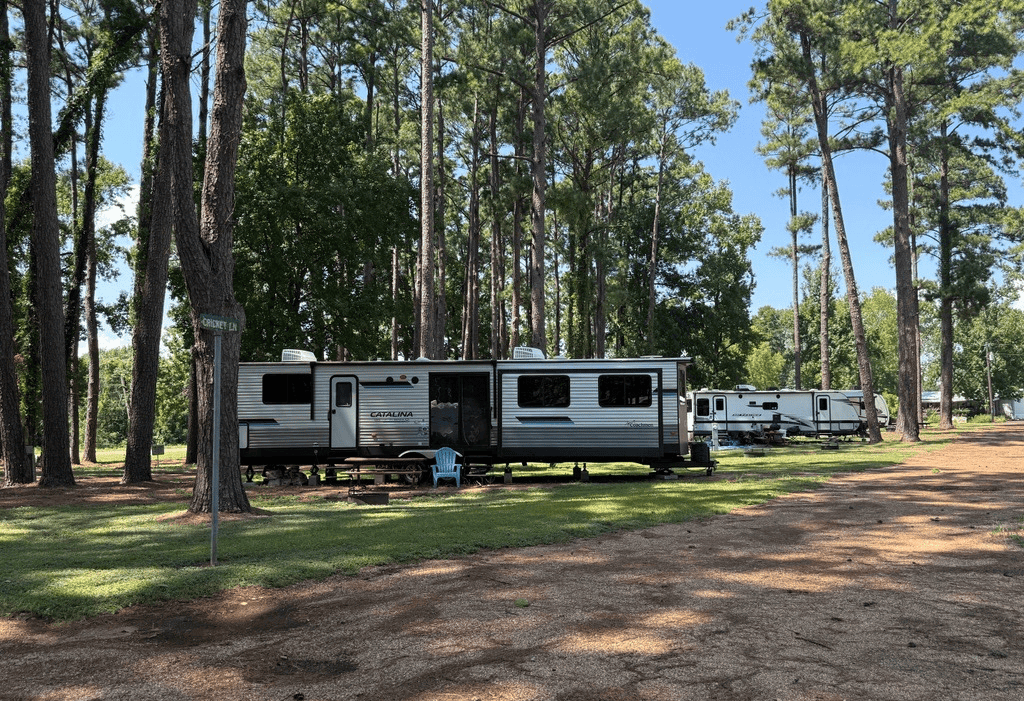 A silver travel trailer is parked among tall pine trees in a campground, with another trailer visible in the background on a clear, sunny day.