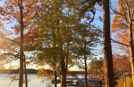 48962 266818 h2KSTNfQK1r3jdvGLqEEwd 9lHuFGc4DE7wXn5LfAc 6908f4bdc5af0.jpg