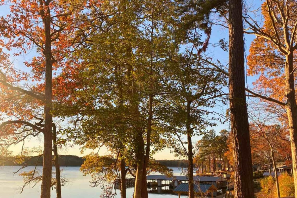 48962 273013 KLy7P7a05CkxBO6ep3iWzBzBPSO3WCo7hfXB9YTGFLU 690a64f9a4e01.jpg