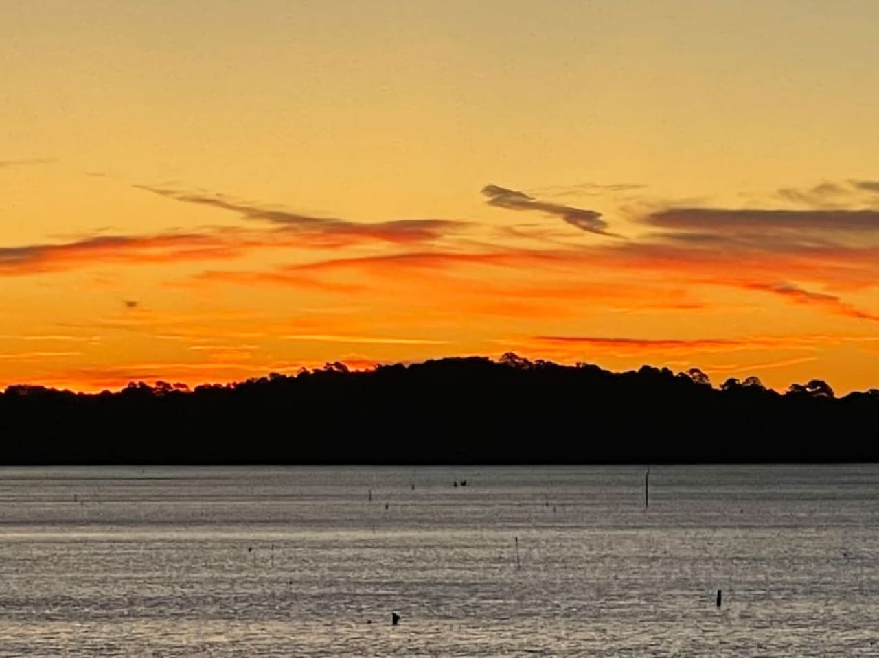 48962 130412 XEGK9JwJfA2Lc9TPbylzeAIkWm5bewDqKe63brDlkHQ 636413ba013ea.jpg