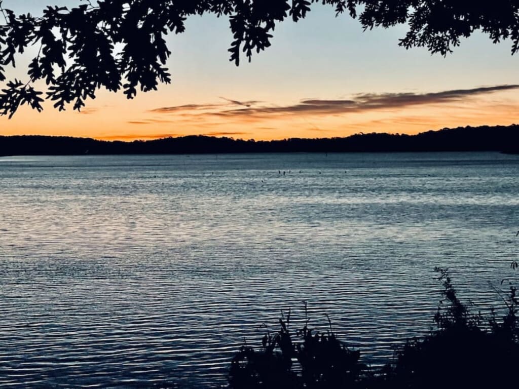 48962 130412 v9npvRCdAQAxKGhZf3gipLnN8eUH8pd0jZJjbsKZCq8 636413b841b1d.jpg