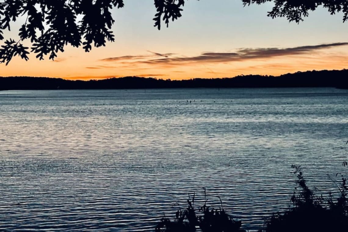 48962 130412 v9npvRCdAQAxKGhZf3gipLnN8eUH8pd0jZJjbsKZCq8 636413b841b1d.jpg