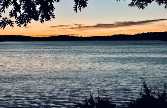 48962 130413 JMktsqUgM5JFyt FSppbS3CLueOgQ3C6y0L 56eQpnw 636413ea1e1bb.jpg