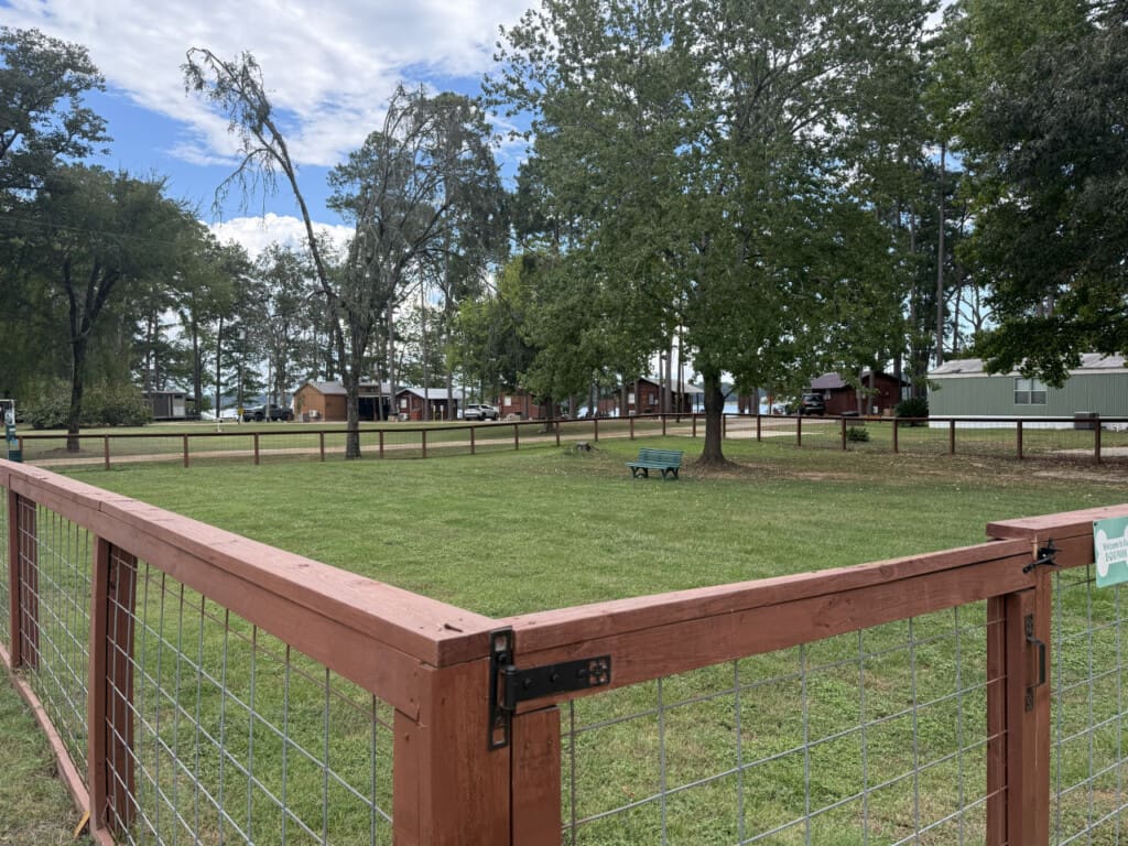 48962 130414 BZ0QeQ1d8 EIcBde0RGUUHcjGHW2N2hLUehWNfr4o3c 690b976631fec.jpg