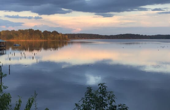 48962 130414 qT5v4MbFZlO37vwqIMNVfy9BHRfu7Gv Y9Q 0XD764E 690b82413ccde.jpg