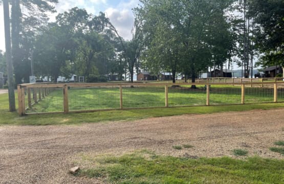 48962 149533 4S7XJaVlIMMAE9iBxSKaIbn2SmVMBlgXgOzuozffLw 64c02810c4a3f.jpg