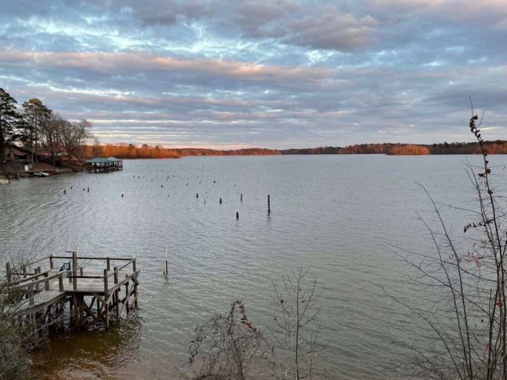 48962 266818 OAR6tAleQTMtF0XaJOOznd4nQsVdaBddmlCHi2a ATY 662fe7b4153dc.jpg