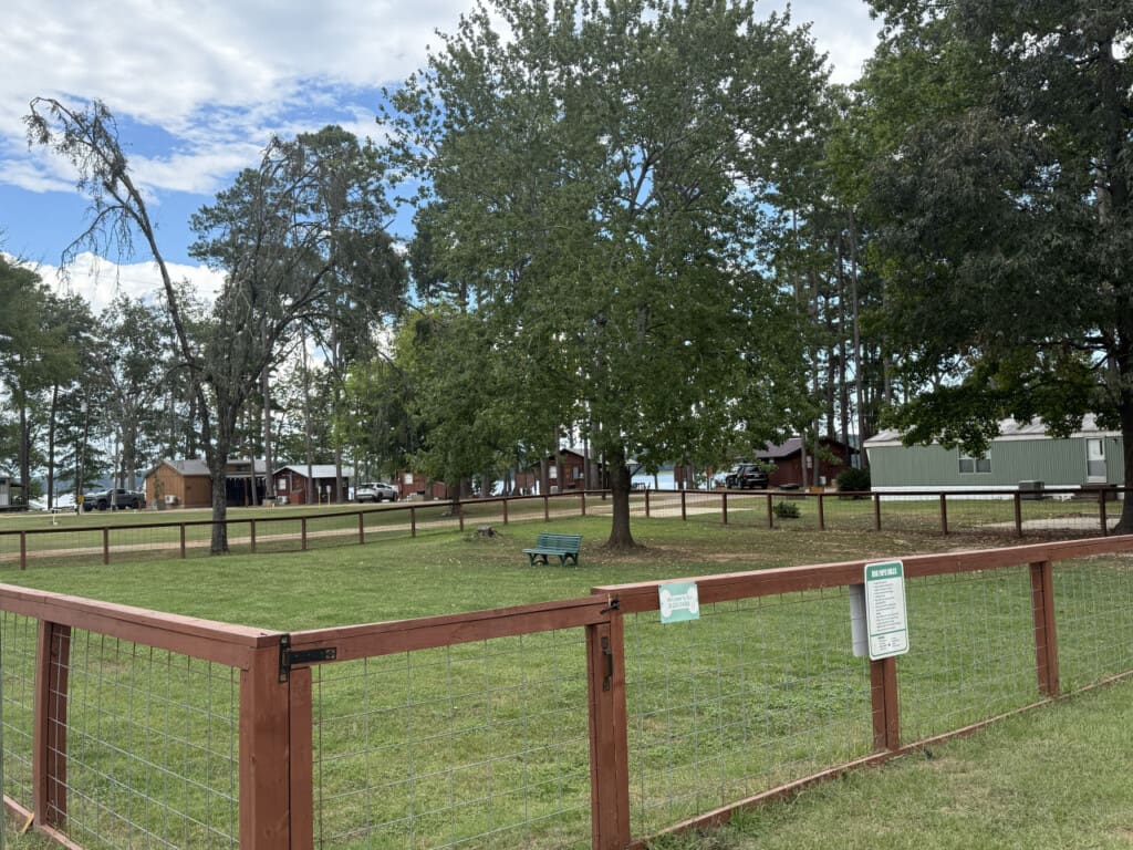 48962 266818 ZiJdItEJ0DJJjErvovS3XL03J9 uOxXFdUq69ddsPQA 690a7ee483409.jpg