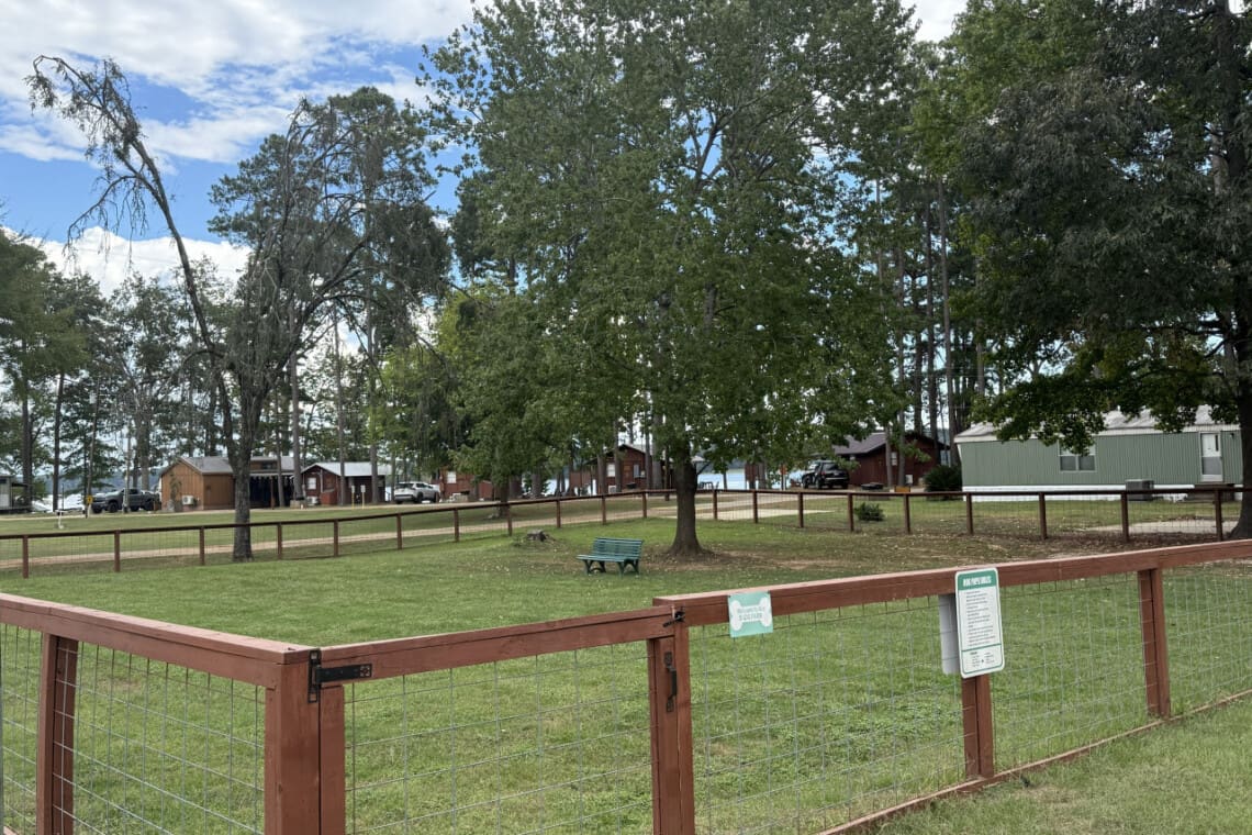 48962 266818 ZiJdItEJ0DJJjErvovS3XL03J9 uOxXFdUq69ddsPQA 690a7ee483409.jpg