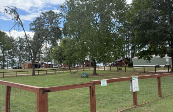 48962 266818 ZiJdItEJ0DJJjErvovS3XL03J9 uOxXFdUq69ddsPQA 690a7ee483409.jpg