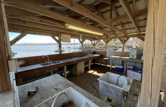 48962 273013 wn8bFKVumbREA0nb3UX32PmLjheip3ShGlteqVmmQSA 690a652a135e1.jpg