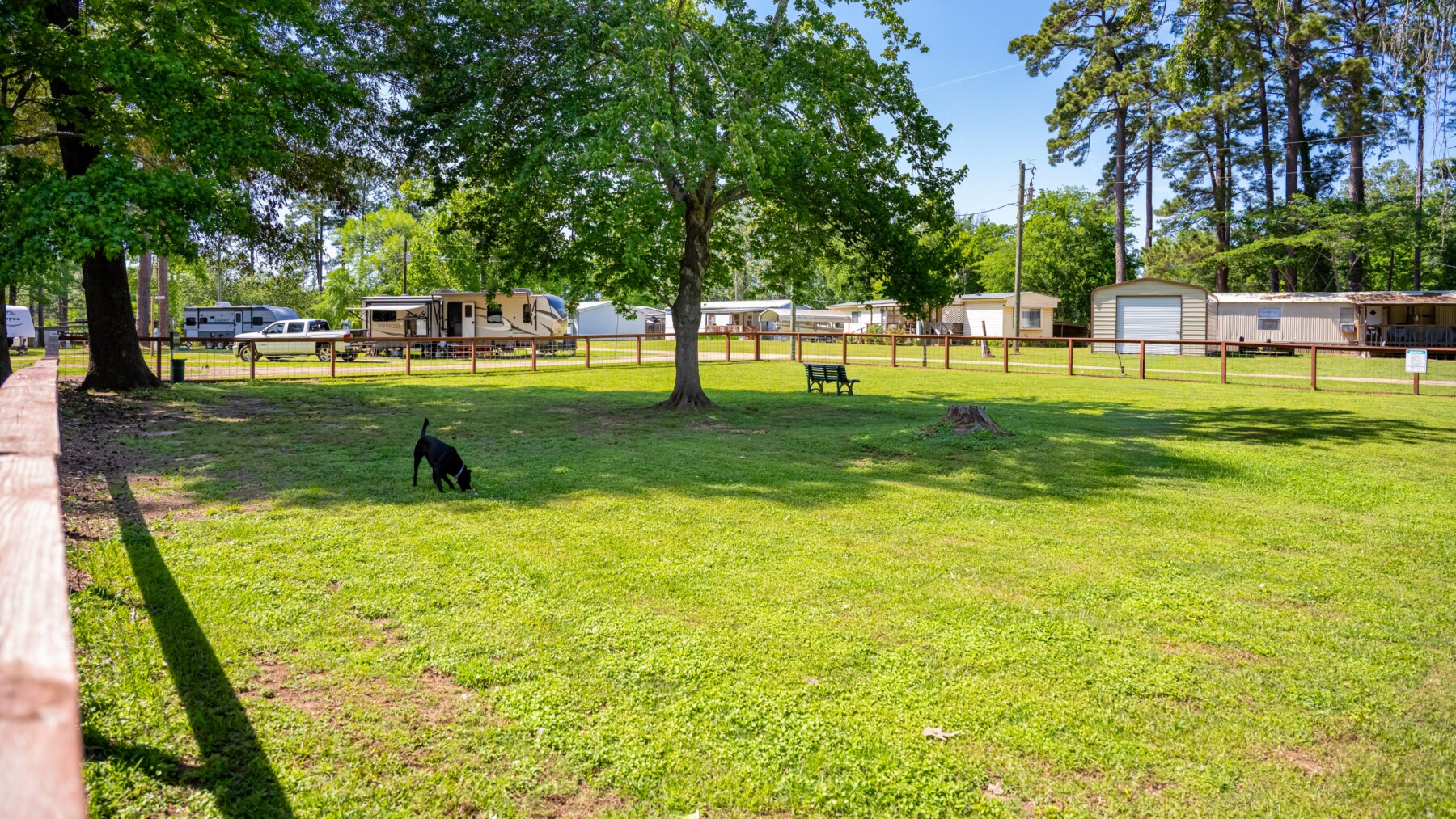 dog park at mid lake campground toledo bend hemphill tx
