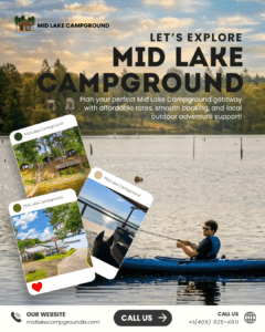 Let's Explore MLC Post