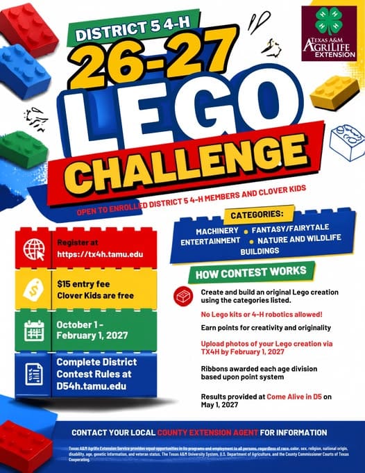 Lego Challenge at District 5 4 H