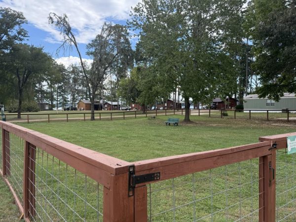 A fenced grassy area with trees, a green wheelbarrow, and several cabins or buildings in the background under a partly cloudy sky.